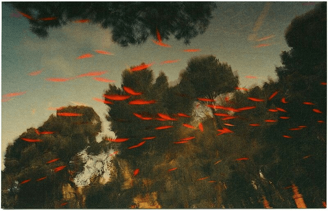 A landscape with red birds moving through the sky
